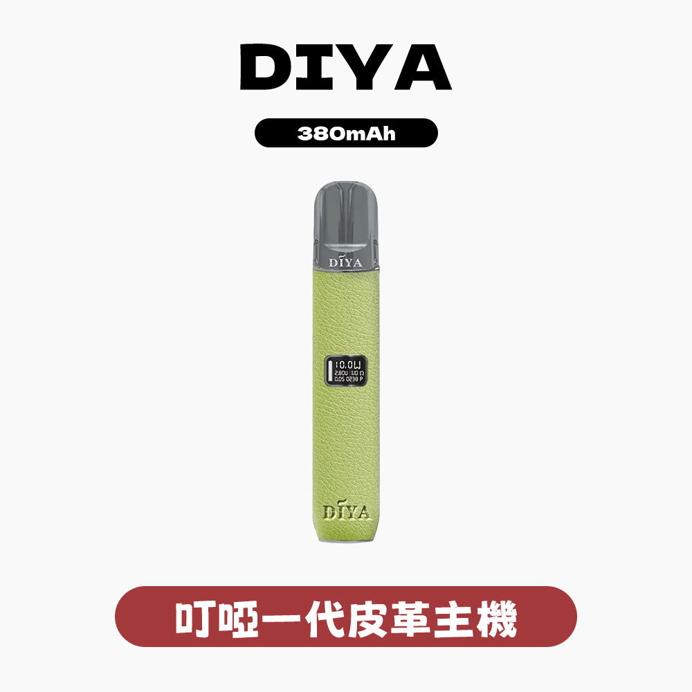 DIYA 一代皮革主機